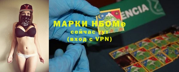mdpv Новодвинск