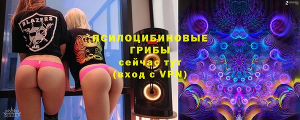 прущий лед Алексеевка