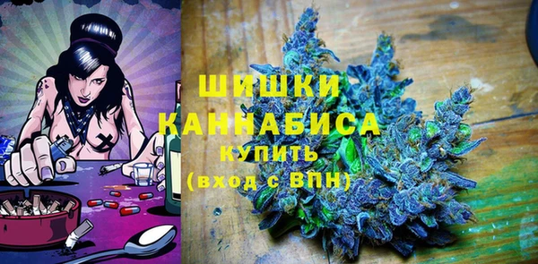 молекула духа Новозыбков