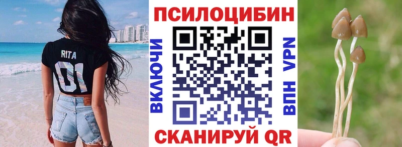 Галлюциногенные грибы Psilocybine cubensis  купить  цена  Зубцов 