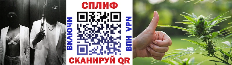 Конопля индика  хочу наркоту  Зубцов 